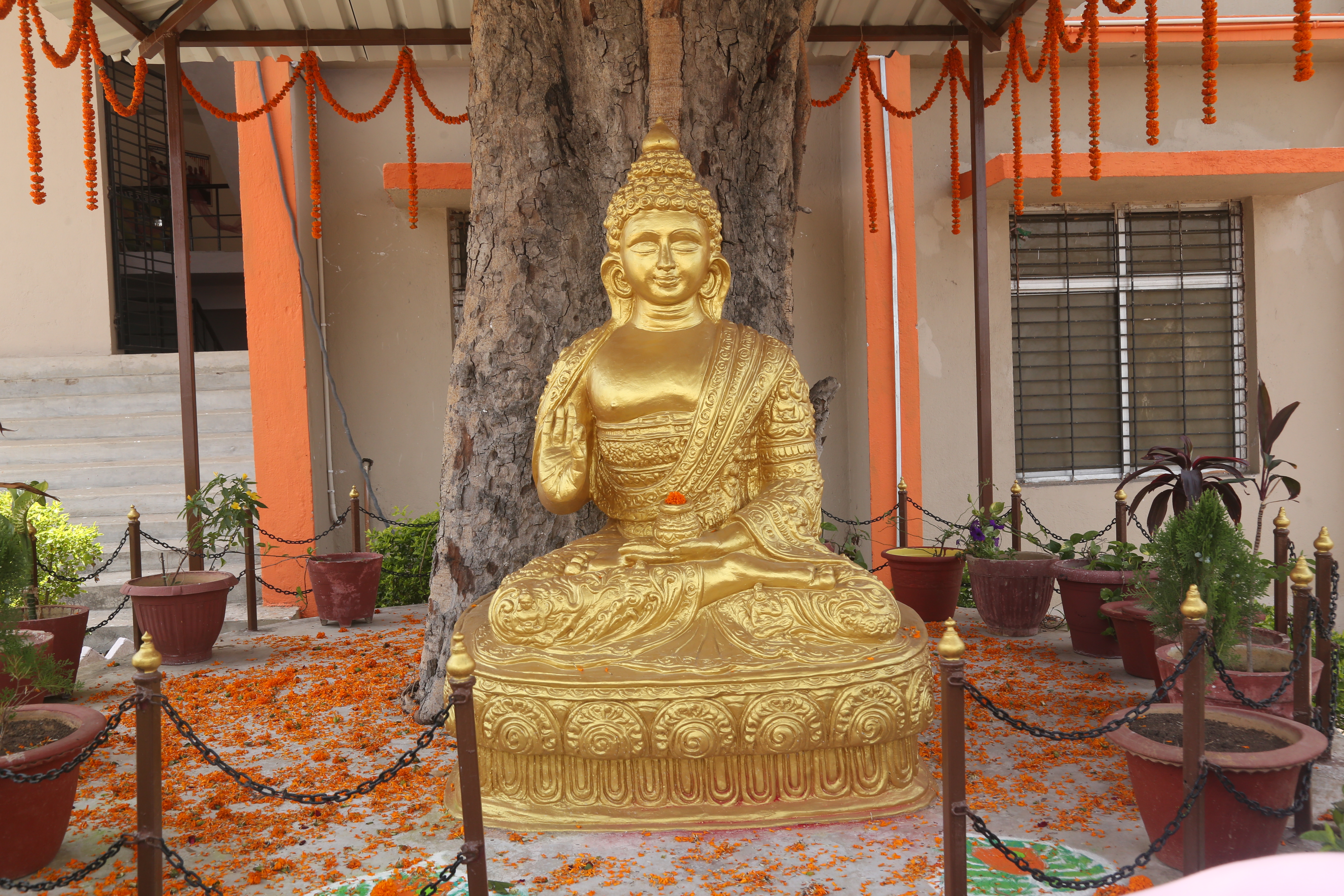 Gautam Buddha Teachers Tranning College